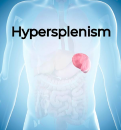 Cường lách (Hypersplenism)
