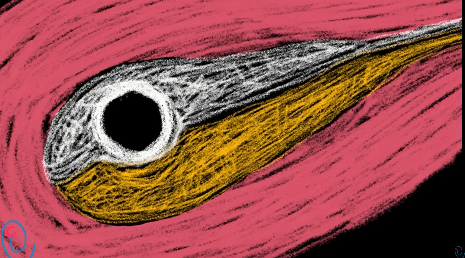 MRI Image Preview